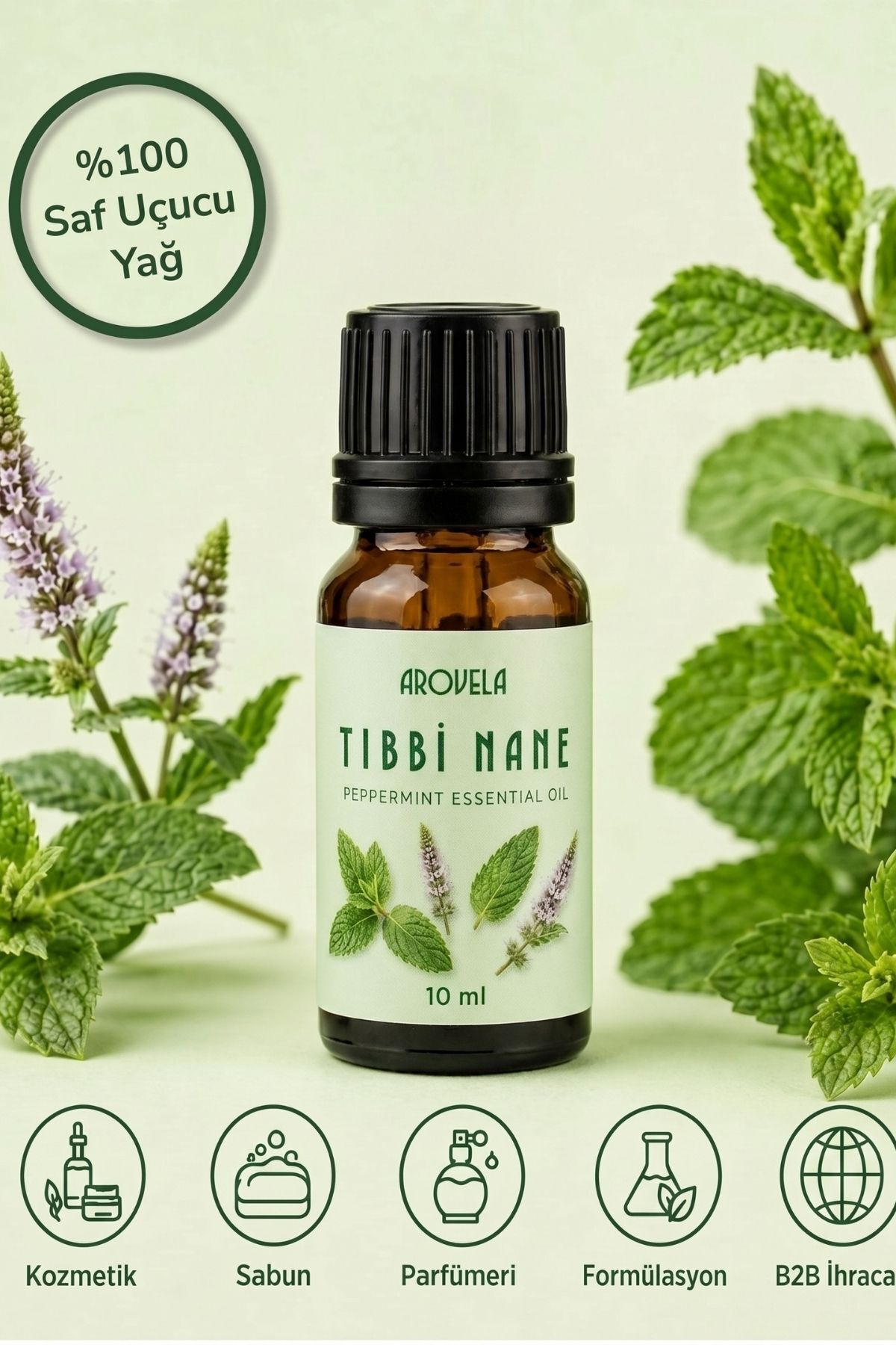 Reines ätherisches Pfefferminzöl (Mentha piperita) 10 ml
